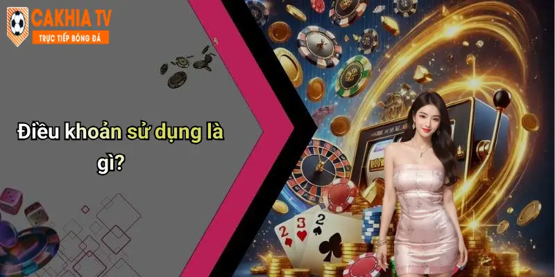 Điều khoản sử dụng là gì?