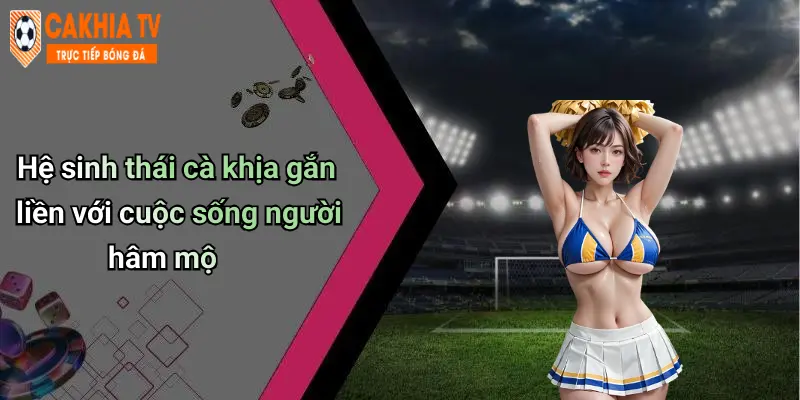 Kết Quả Bóng Đá: Cập Nhật Liên Tục, Nhận Định Ngay, Cà Khịa Vui 30 Hệ sinh thái cà khịa gắn liền với cuộc sống người hâm mộ