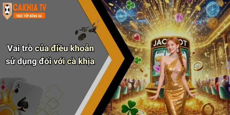 Vai trò của điều khoản sử dụng đối với cà khịa