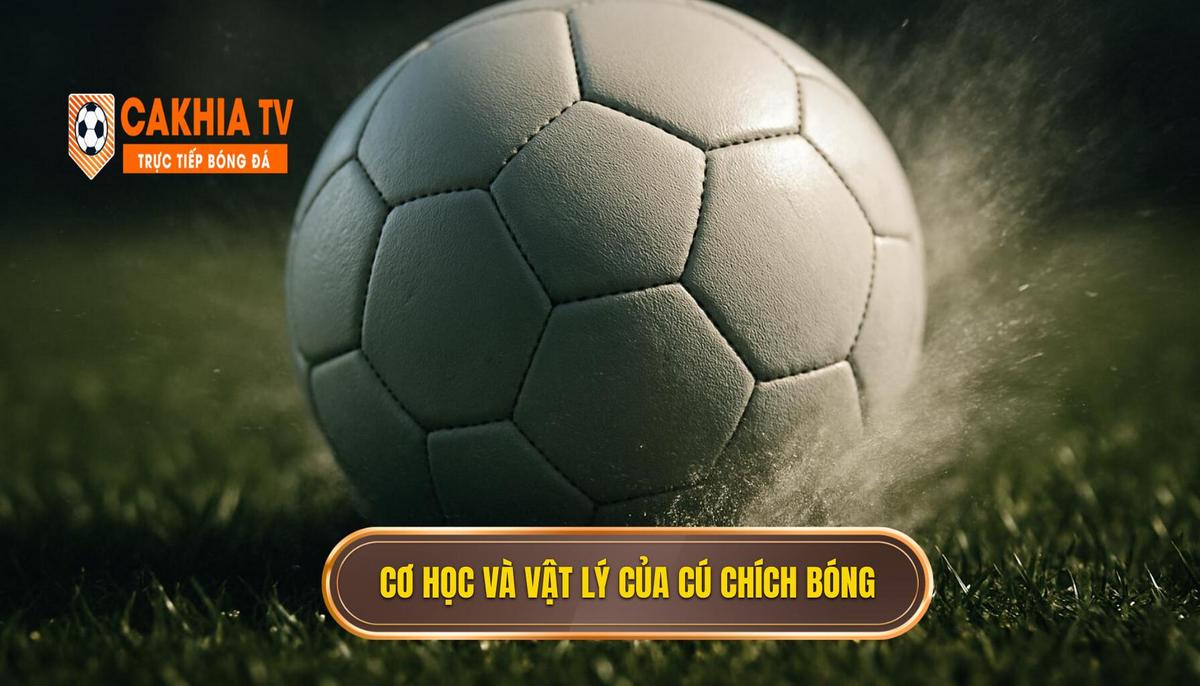 Bản chất vật lý và Cơ học của Cú Chích Bóng