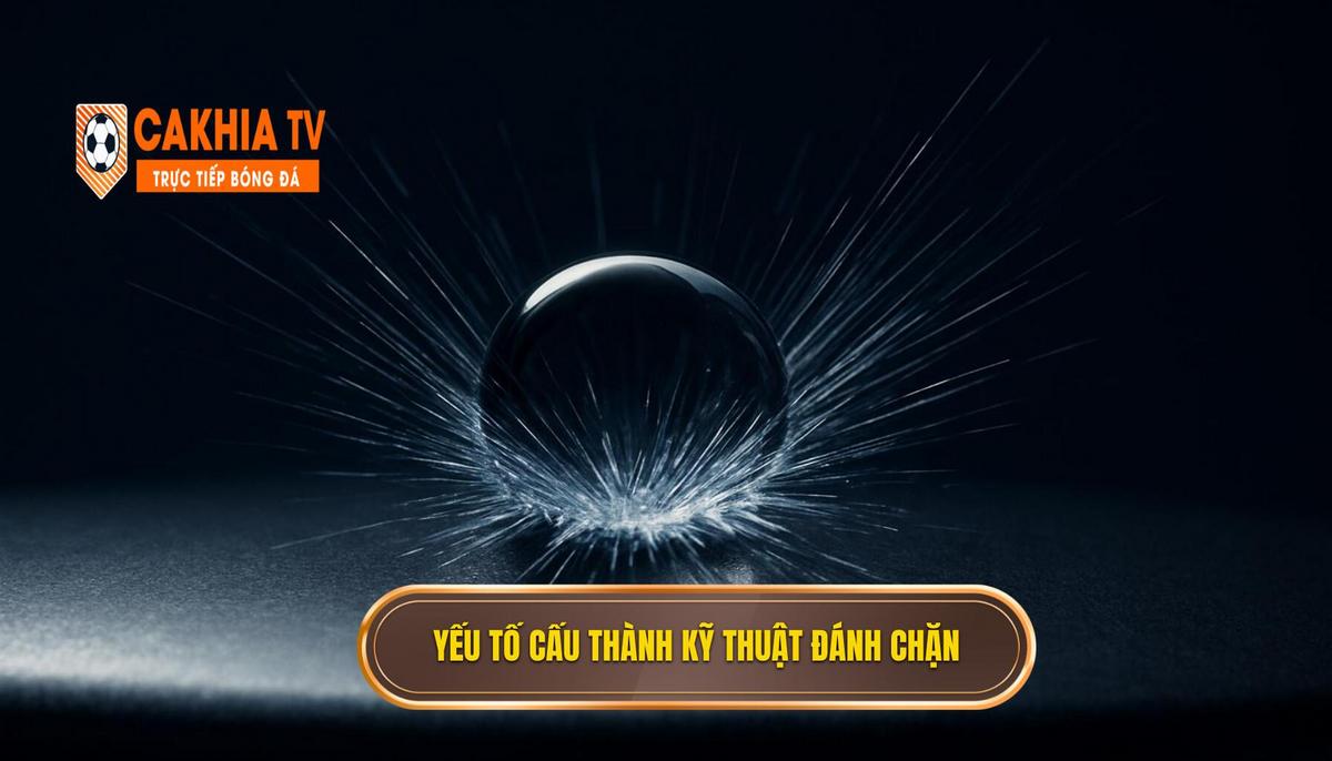 Bí Quyết Nắm Bắt Kỹ Thuật Đánh Chặn Bóng Chuyên Nghiệp 2 Các Yếu Tố Cấu Thành Kỹ Thuật Đánh Chặn Bóng Hoàn Hảo